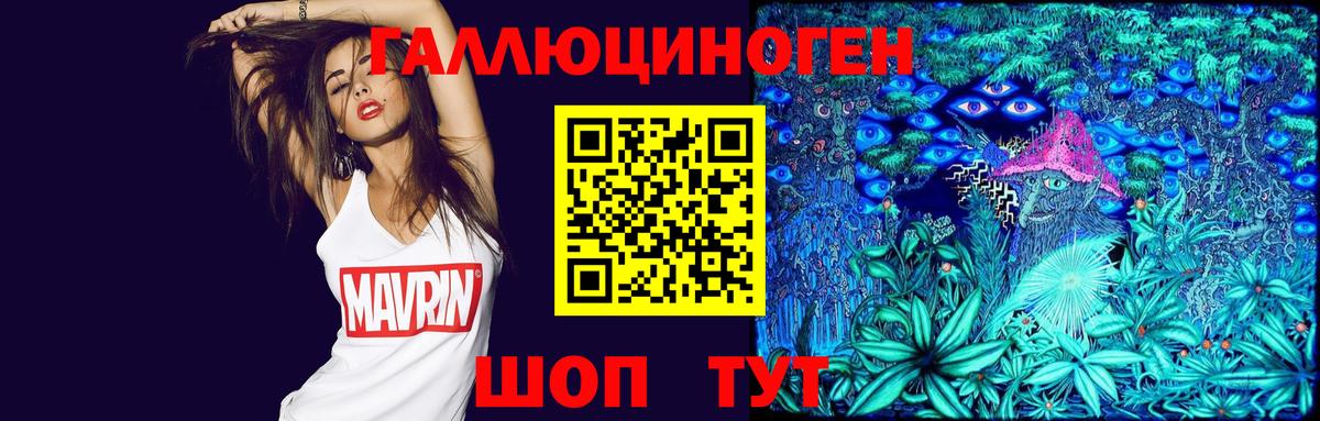 Псилоцибиновые грибы Psilocybe  Вход с VPN  Кызыл 